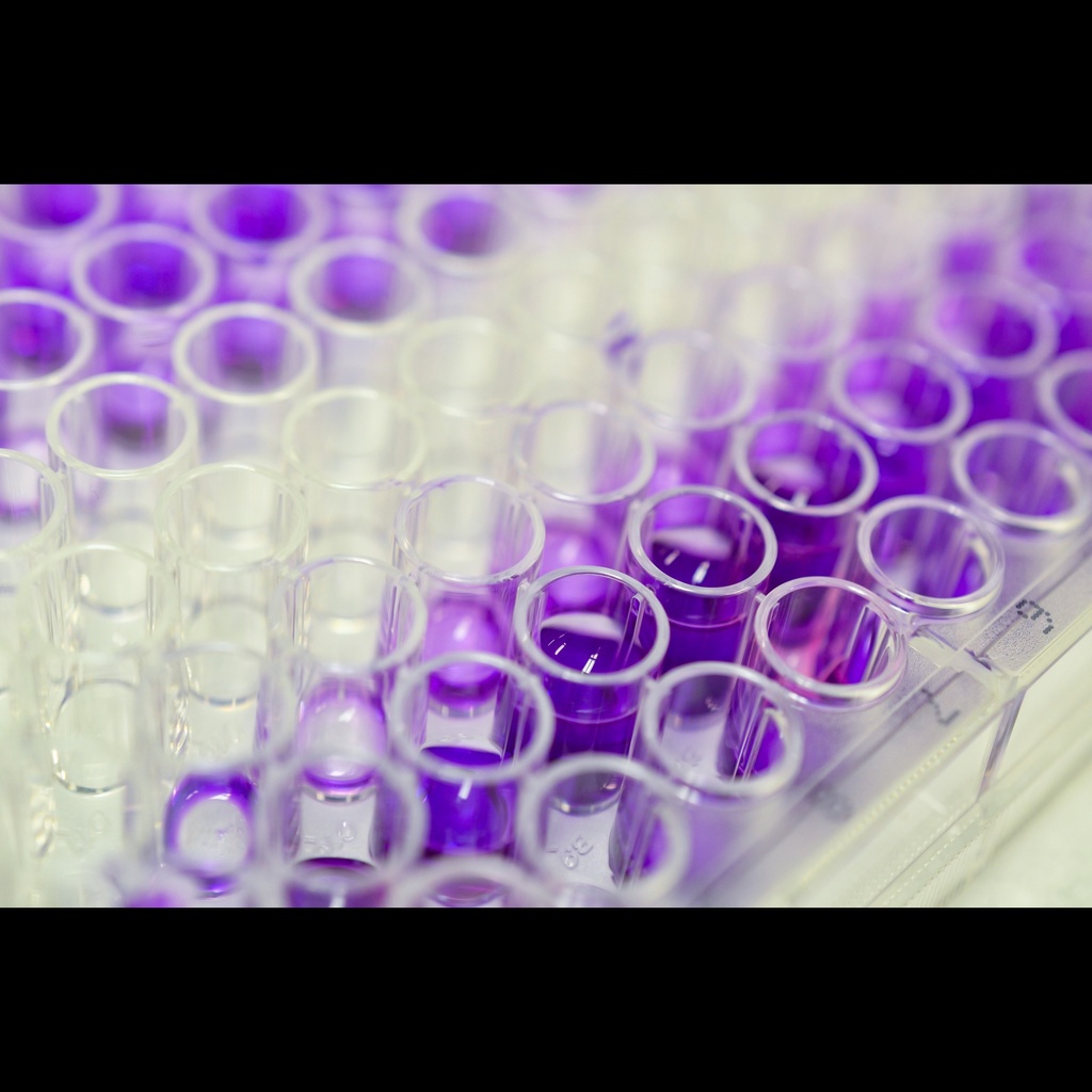 PTMA elisa kit :: Human Prothymosin Alpha  PTMA  ELISA Kit 10x96T