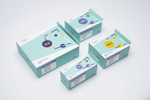 [K02501-08] SeekSpace® Single Cell Spatial Transcriptome-seq Kit - 8 Tests