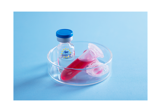 [GEN - PYT563-25ug] Visfatin Human, His