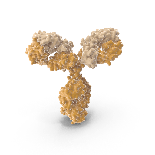 [0544-MBS601315-5] Mouse antisize:Human HLA Class 1 Antigen A11 Monoclonal Antibody, 5x0.1 mL